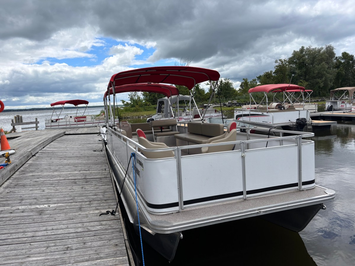 Pontoon boat with red canopy docked on a cloudy day.